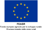 LOGO-FEASR (1)